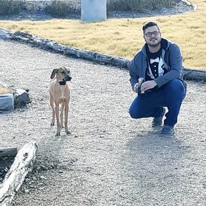 Meet your Posher, David